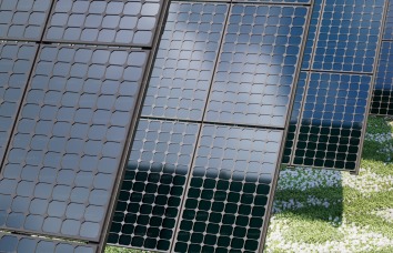 Türkiye’s Green Transformation: Carbon Markets and the 2053 Targets